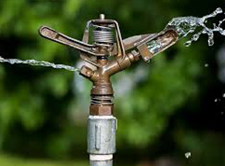 Image of a Sprinkler
